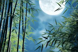 竹林月夜——是月下赏竹，还是竹林赏月？图片