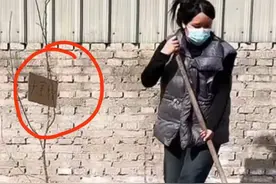女子五年三次网购车厘子树苗，结果都是海棠，网友看不下去赠苗木图片