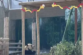 兰州野生动物园到底值不值得去看完这篇保姆级攻略你就明白了图片