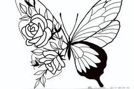 25张蝴蝶创意手绘图，临摹学画图片