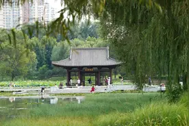 花海、瀑布与清凉，郑州西郊大公园的日与夜图片