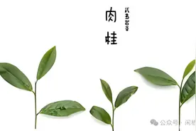 【每日茶课】——揭开肉桂茶的面纱图片