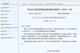 辽宁省安委会对大连市国际会展中心拆除工程“2·20”较大坍塌事故查处情况挂牌督办图片