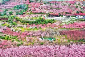 安康6条春季精品旅游线路等您来图片
