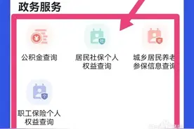 养老金怎么查询图片