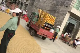 愚昧的葬礼何时醒悟图片
