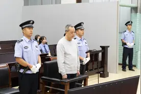 受贿超1亿！广西玉林市委原书记莫桦被判无期图片