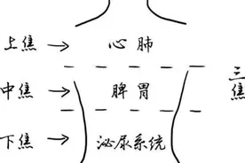 三焦一堵，百病添堵！一招帮你疏通三焦，除尽痰湿！图片