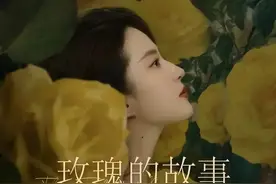 热播剧《玫瑰的故事》上海取景地曝光！跟着刘亦菲逛上海，你去过几个？图片