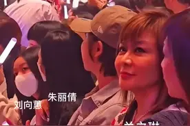 关之琳穿着费尔岛毛衣去看刘德华演唱会，刘向蕙坐在朱丽倩身边！图片