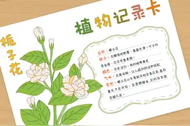 栀子花植物记录卡手抄报 162 🌿图片