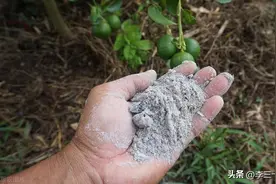 草木灰到底该怎么用？用错了反伤根烧叶，老农民教你这样用才对图片