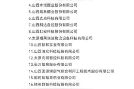 山西省公布2025年度民营科技领军企业、新锐企业名单，这些企业上榜→图片