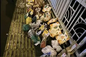 茶百道就“胖猫事件”公开致歉，并宣布捐款百万以“胖猫”之名图片