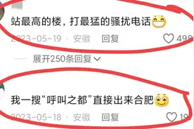 合肥找工作现状，网友：狗到合肥都要先做两个月销售！好笑又心酸图片