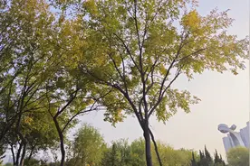 “应无所住，而生其心”的深层理解图片