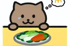 细思极恐！21岁跳江男孩“胖猫”事件的细节，最全聊天记录，震惊图片