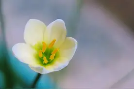 情人之间，有这三种感应，说明是灵魂伴侣图片