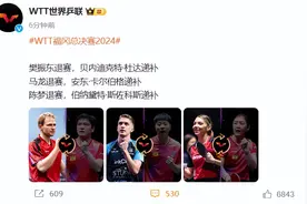 樊振东、马龙、陈梦，退赛！图片