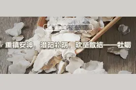 识本草丨重镇安神，潜阳补阴，软坚散结——牡蛎图片