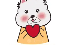 从同放烟花到共放风筝！厦门金门首次联手同步举办风筝节活动图片