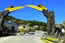 探秘中国犀鸟谷：用镜头捕捉国家一级保护动物——双角犀鸟的灵动瞬间图片