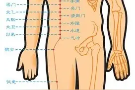 人体的几个重要的穴道图片