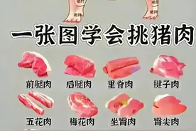 过年杀年猪喽，看好了啦，认识认识猪🐷的整体构造，研究研究图片