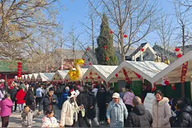 来郑州文庙逛市集赏非遗，赴一场新春文化之约图片