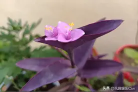 暑假到了，开启读书模式，如何让孩子预习才能事半功倍！图片