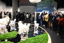 驻华使节说内蒙古｜“中国绒都”名副其实！图片