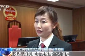 “人脸识别”诈骗嫌犯落网，揭秘造假牟利过程图片