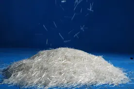 早报推荐丨玻璃纤维筷子真的伤害身体还致癌吗？图片
