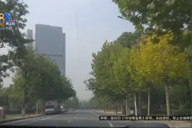 小伙儿一生气“任性”了一把！成被告了……图片