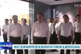 林红玉参加所在党支部党纪学习教育主题党日活动图片
