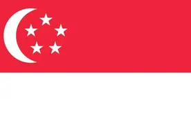 各国军事实力：亚洲篇（新加坡）图片