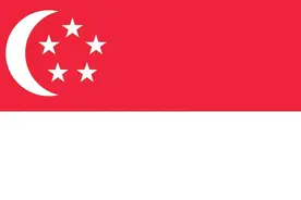 各国军事实力：亚洲篇（新加坡）图片