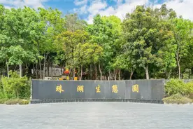 无需远行，这份惠州乡村踏秋攻略请收好~图片