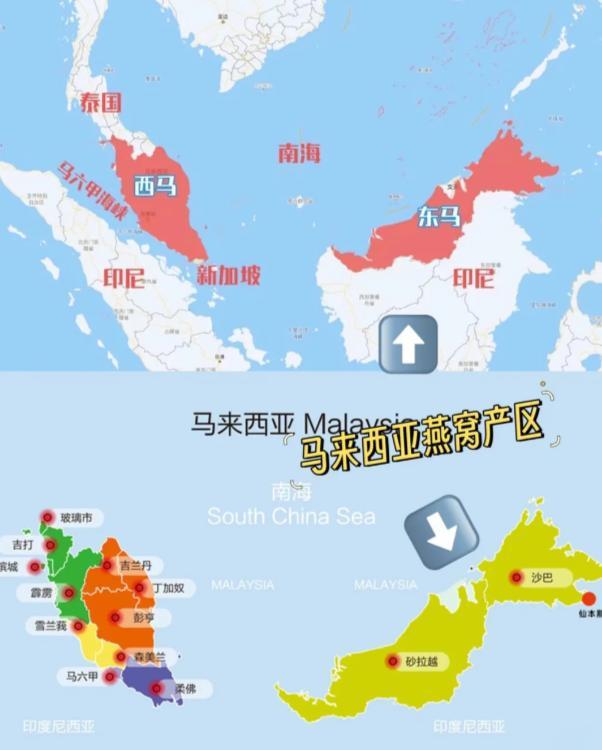 如何区分燕窝的好坏 2026年如何区分燕窝的好坏呢