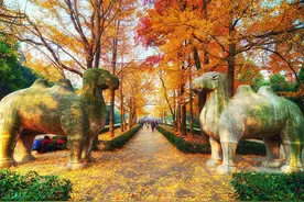南京旅游必去景点有哪些？去这些地方打卡，探寻古都金陵独特风貌图片