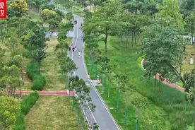 习近平陕西行丨守护生态之美 实现“一泓清水入黄河”——走进宝鸡市渭河生态公园图片