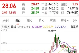 华为核心龙头股，含鸿蒙+鲲鹏+欧拉+海思芯片+智能驾驶图片