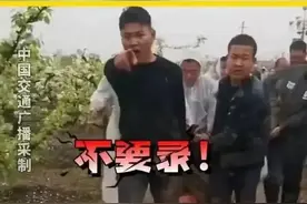 河南叶县梨园强拆事件，其实有更好的处理方法图片