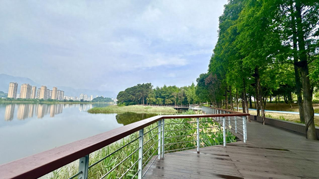 绿道串联湖山景！宁德东湖变身百姓“幸福休闲地”