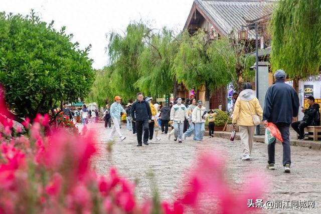 五一在丽江古城慢逛古巷、沉浸文化院落，解锁松弛假日