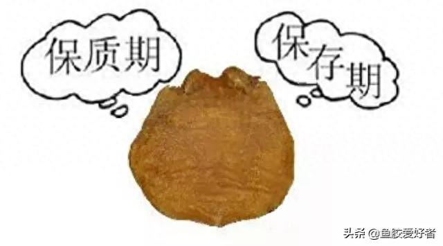 鱼胶放越久越好吗 2026年鱼胶放越久越好吗能吃吗