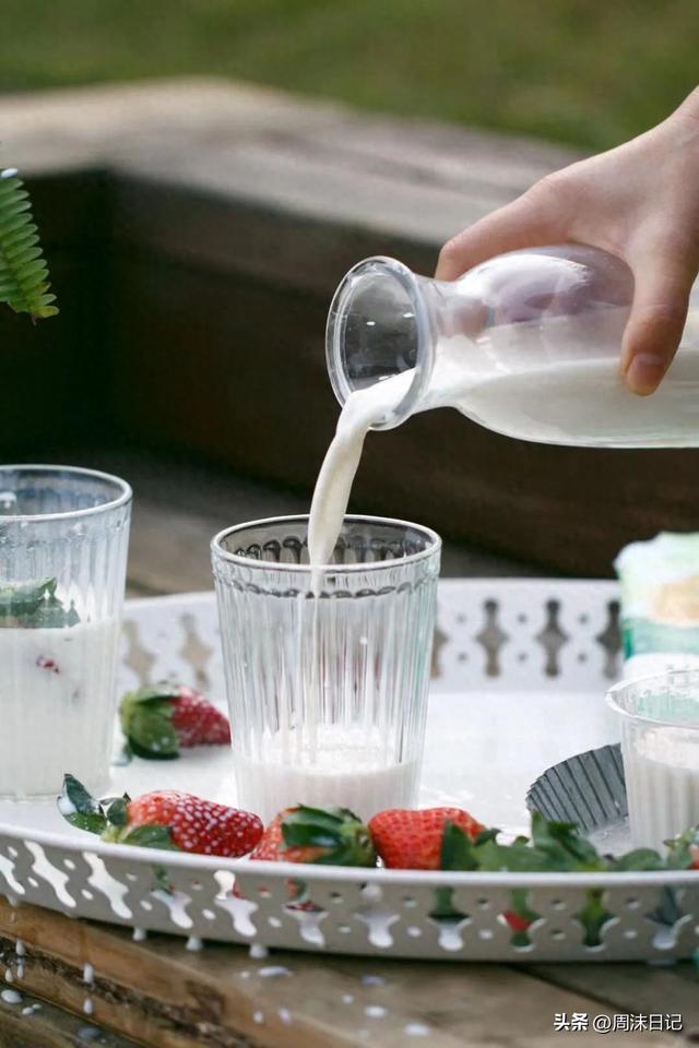花胶炖羊奶 2026年花胶炖羊奶功效与作用及食用方法