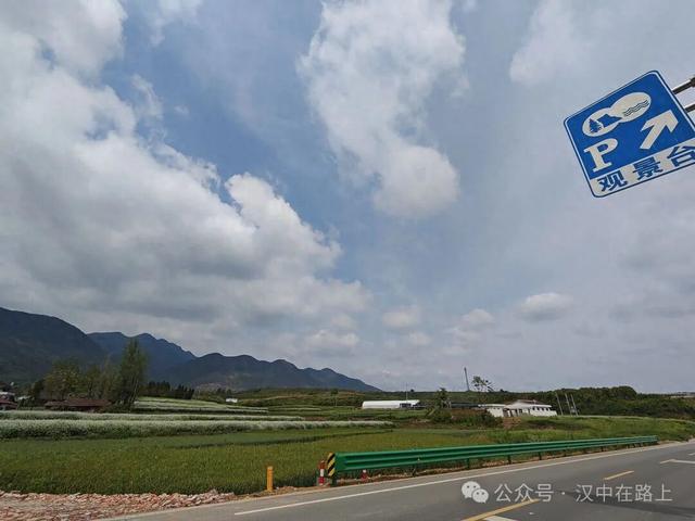 火遍抖友圈！汉中张家窝，整片白色花海太美了