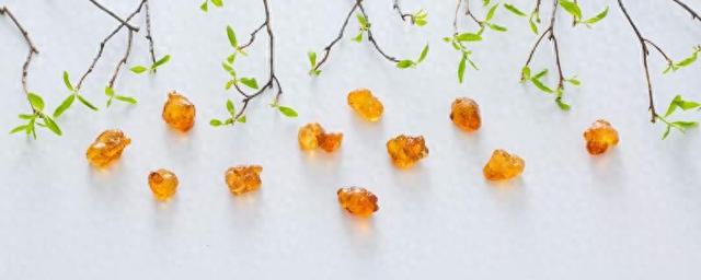 桃胶花胶功效与作用 2026年桃胶花胶鱼胶营养价值和功效 桃胶花胶功效与作用 2026年桃胶花胶鱼胶营养价值和功效