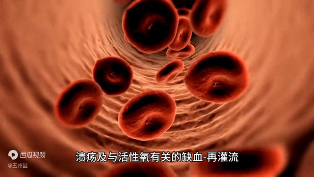 荊花胃康胶九治胃病的效果 2026年荆花胃康胶丸功效及副作用